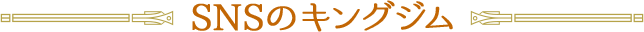 SNSのキングジム