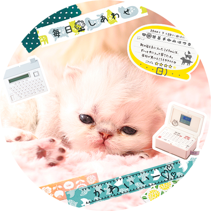 毎日はかわいいであふれてる♪