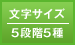 文字サイズ／5段階5種