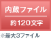 内蔵ファイル 約120文字 ※最大3ファイル