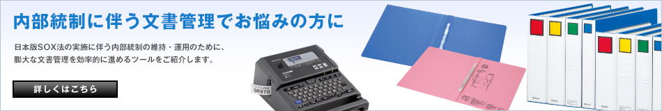 内部統制に伴う文書管理でお悩みの方に 日本版SOX法の実施に伴う内部統制の維持・運用のために、膨大な文書管理を効率的に進めるツールをご紹介します。