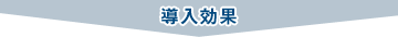 導入効果
