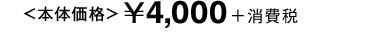 本体価格：¥4,000＋消費税