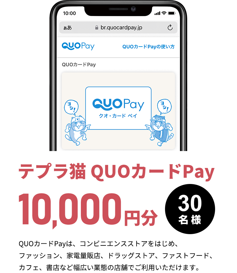 テプラ猫オリジナルデザインQUOカードPay 10,000円分　30名様