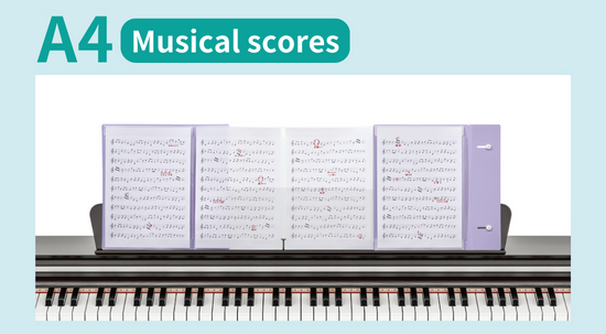 Clear File KAKIKO Zig Zag type