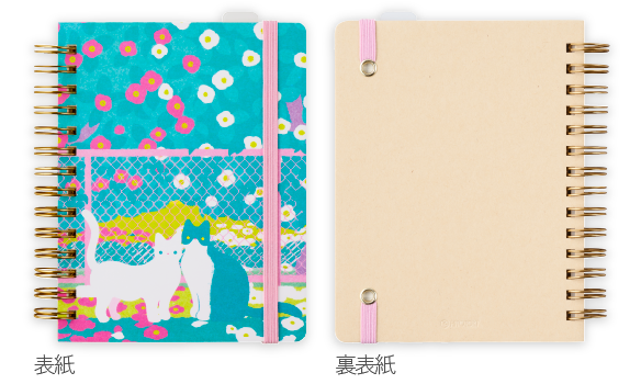 HN-PR06 ヨリミチ