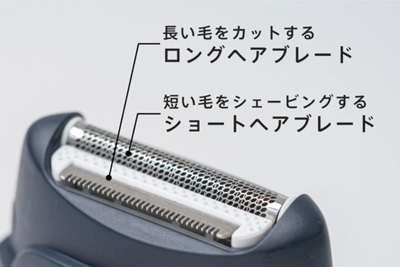 キングビューティー