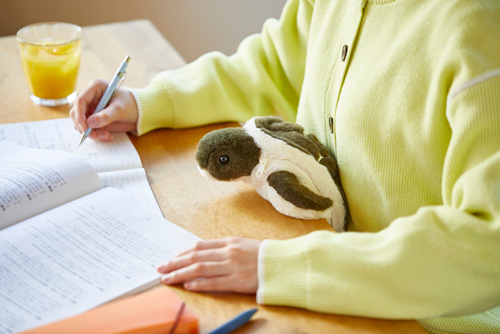 「ポーズー」ミニポーチ