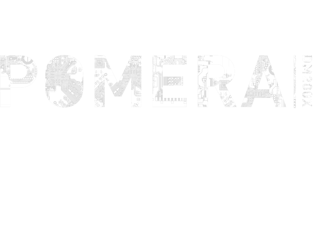 10TH ANNIVERSARY CLEAR BLACK LIMITED MODEL POMERA DM200X PRESENT CAMPAIGN