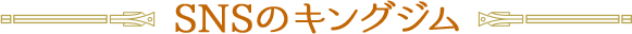 SNSのキングジム