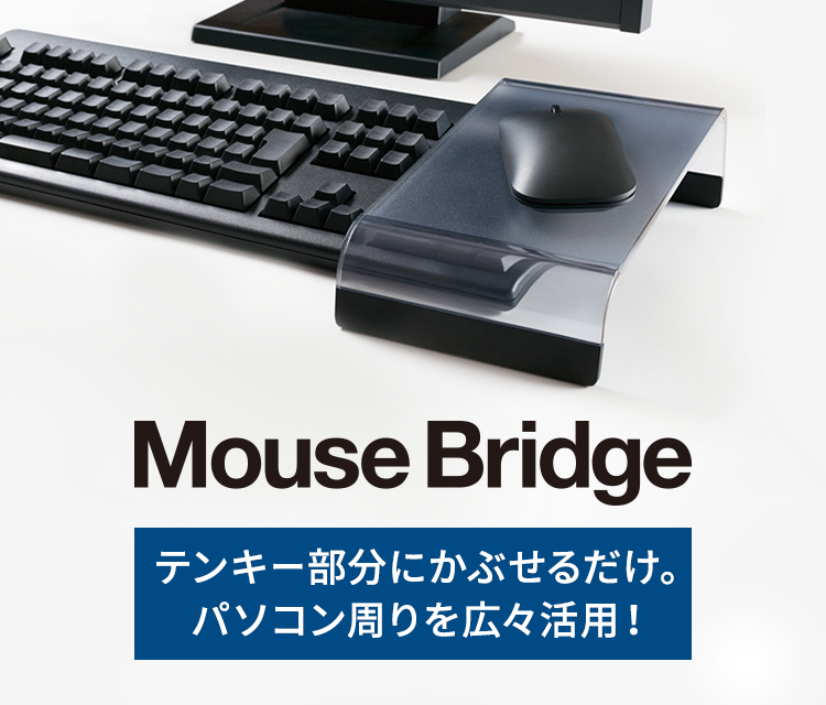 マウスブリッジ | ファイルとテプラのキングジム